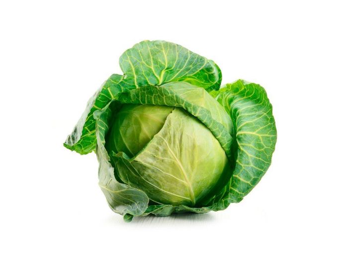 Fresh Cabbage for sale in Karachi - Akhtar Sabir Fresh