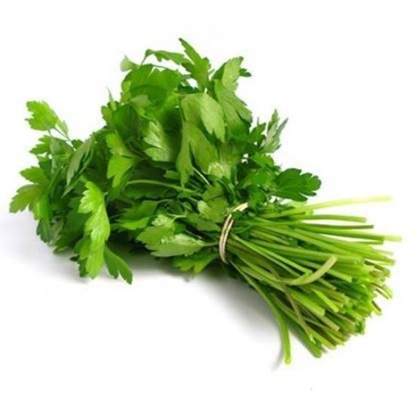 Fresh Coriender for sale in Karachi - Akhtar Sabir Fresh