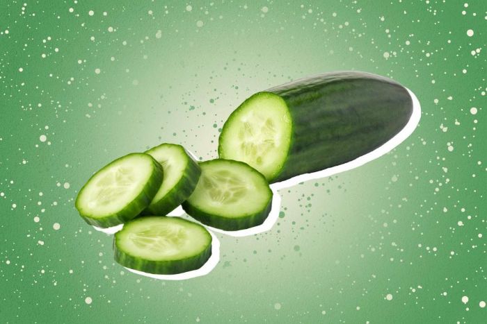 Fresh Cucumber for sale in Karachi - Akhtar Sabir Fresh