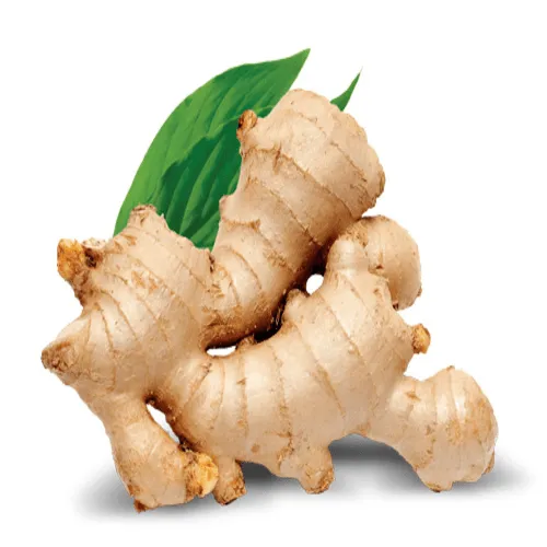 Fresh Ginger for sale in Karachi - Akhtar Sabir Fresh
