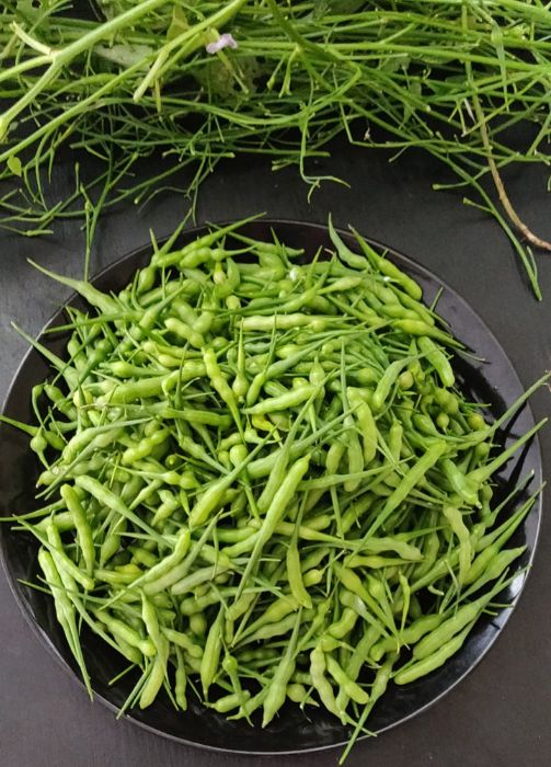 Fresh Mongre for sale in Karachi - Akhtar Sabir Fresh