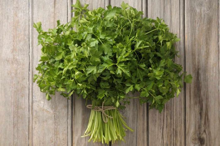 Fresh Parsly for sale in Karachi - Akhtar Sabir Fresh