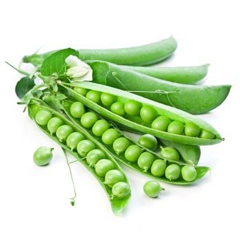 Fresh Peas for sale in Karachi - Akhtar Sabir Fresh