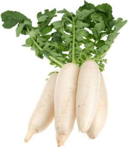 Fresh Radish for sale in Karachi - Akhtar Sabir Fresh