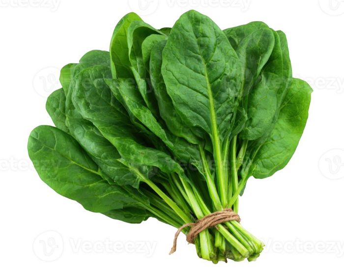 Fresh Spinach for sale in Karachi - Akhtar Sabir Fresh
