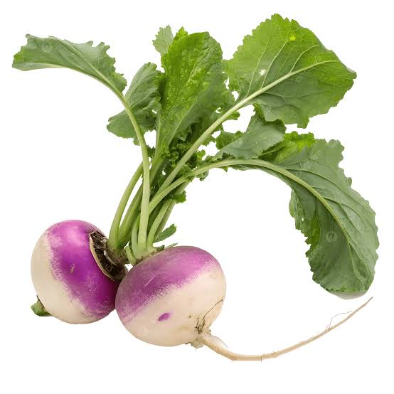 Fresh Turnip for sale in Karachi - Akhtar Sabir Fresh